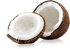cimton coconut